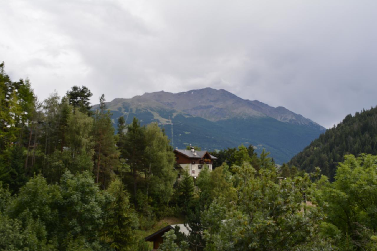 Albergo - B&B Alpina Premadio Luaran gambar